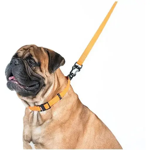 Повідець Waudog Еволютор (ширина 25 мм, довжина 210 см) помаранчевий - фото 5