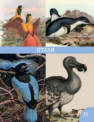 Розповіді про тварин та їх назви - фото 14