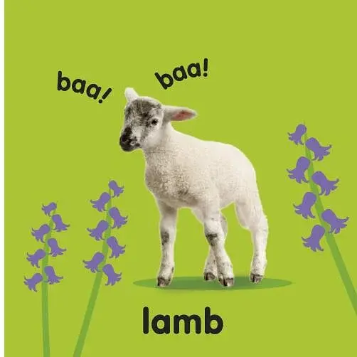 Baby Touch and Feel. Farm Animals - фото 5