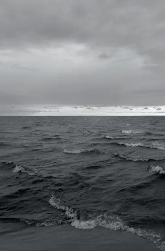 Псалом авіації - фото 3