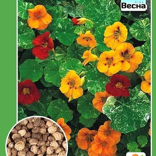 Настурция "Высокая смесь" ТМ "Весна" 0,5г (18763) - фото 1