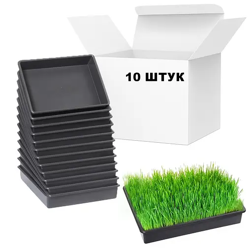 Комплект из 10 лотков поддонов для рассады 40×26×8,5 см (9 л), Господар Черный 87894 - фото 2