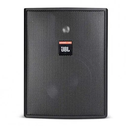 Акустична система JBL C25AV-LS (1 шт) (C25AV-LS) - фото 1
