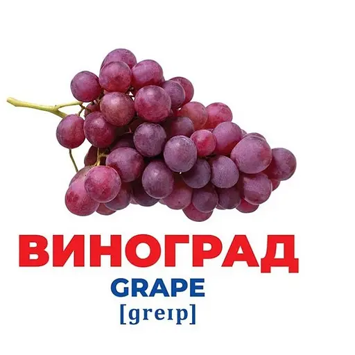 Набор развивающих карт Ranok Creative Гений из пеленок Фрукты и ягоды 17 шт. 10107195У  - фото 3