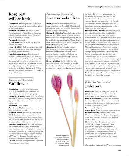 Encyclopedia of Herbal Medicine - фото 12