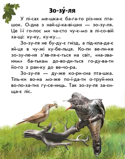 Читаю про Україну. Тварини лісів - фото 4