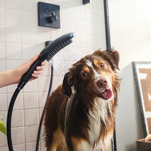 Ручной душ Hansgrohe DogShower 150 3Jet Matt Black черный матовый 26640670, Черный матовый - фото 2