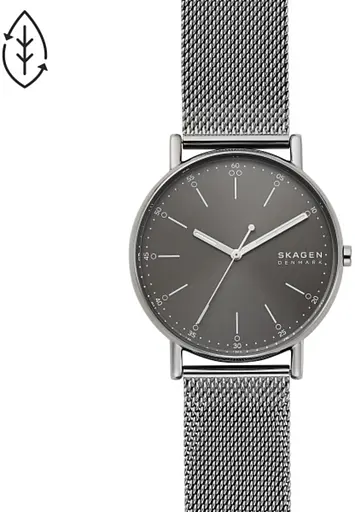 Часы SKAGEN SKW6577