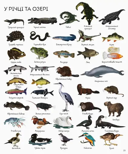 1000 назв тварин - фото 3