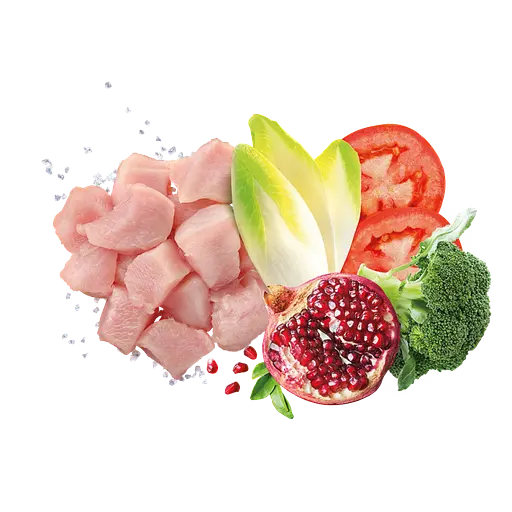 Корм Exclusion Puppy Chicken Small Breed для цуценят собак малих порід з куркою 0,5 кг - фото 3