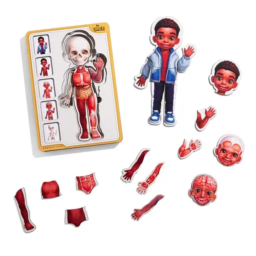 Дерев'яний пазл-вкладиш "Анатомія людини - хлопчик-3" Ubumblebees (ПСД262) PSD262 будова тіла - фото 3