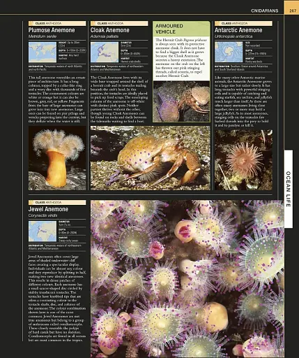 Ocean. The Definitive Visual Guide - фото 3