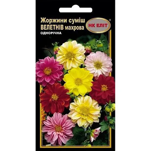 Насіння НК Еліт Жоржини суміш Велетнів махрова 0.3 г (95988) - фото 1