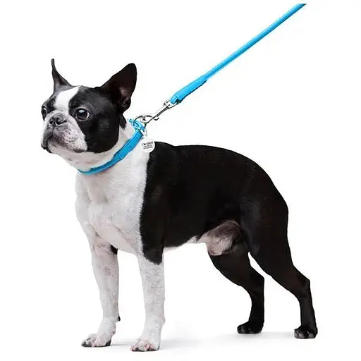 Повідець для собак Waudog Glamour шкіряний круглий, блакитний - фото 5