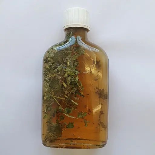 Настоянка на траві вербейник/вербозілля 200 мл - фото 2