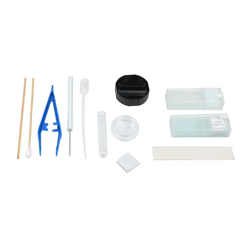 Микроскоп SIGETA MB-113 40x-400x LED Mono с набором для опытов (65231) - фото 2