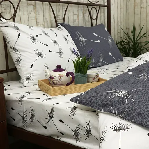 Комплект постельного белья Руно полуторный "Fly" бязь 1.114Б_Fly