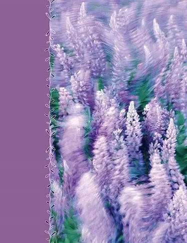 Альбом UFO PP-46200 Lavenders 10x15x200см (PP-46200 Lavenders) - фото 1