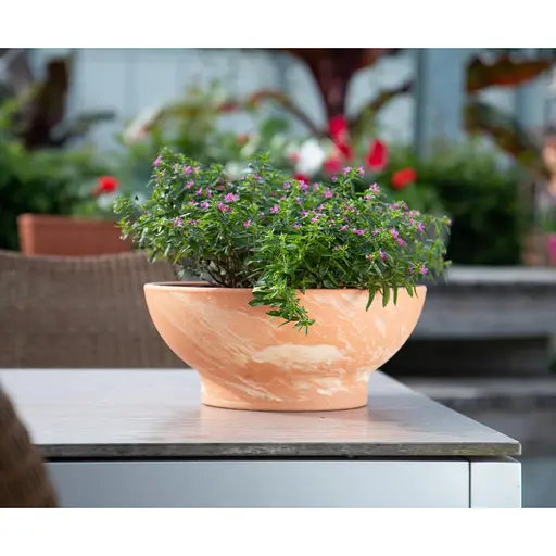 Вазон керамічний Spang Чаша М 32x13 см світла теракота (1091107) - фото 2