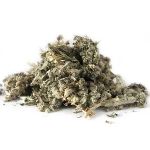 100 г шандра запашна (трава) - свіжий урожай