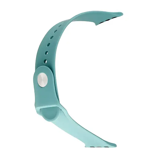 Ремешок Apple Watch Silicone 38/40/41 мм Сactus L - фото 2