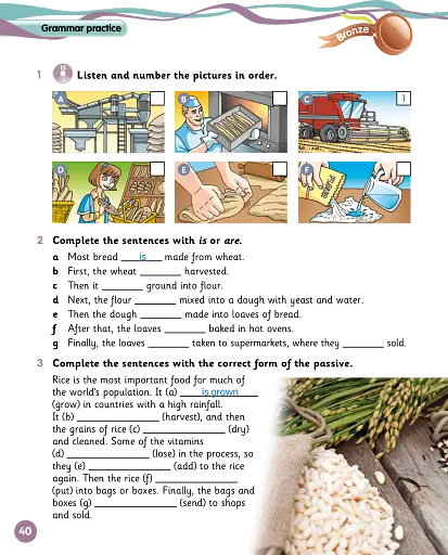 Grammar Goals. Level 5. Pupil's Book + eBook - фото 4