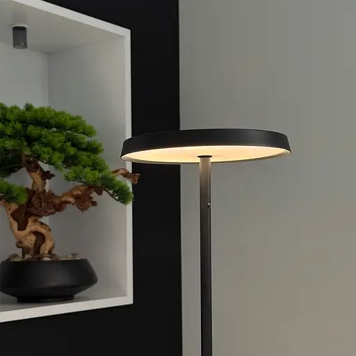 Торшер Skarlat RLL8122 24W BK 4000K - фото 3