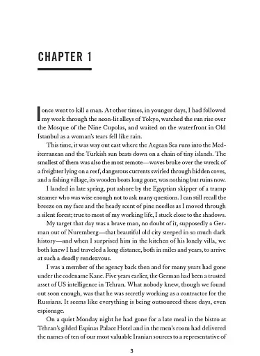 The Year of the Locust - фото 4