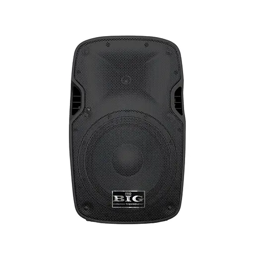 Пасивна акустична система BIG JB08L150 8Ohm