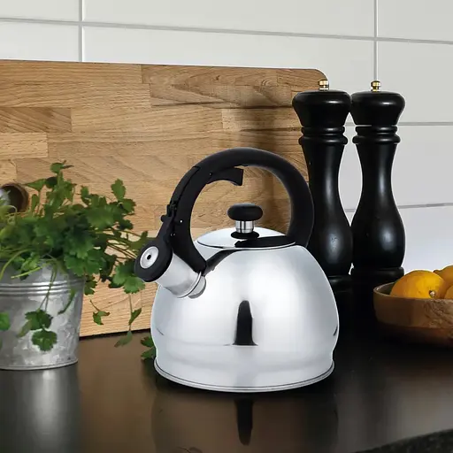 Чайник Gusto GT-1425-18 Гарсон зі свистком 1.8 л (142736) - фото 2