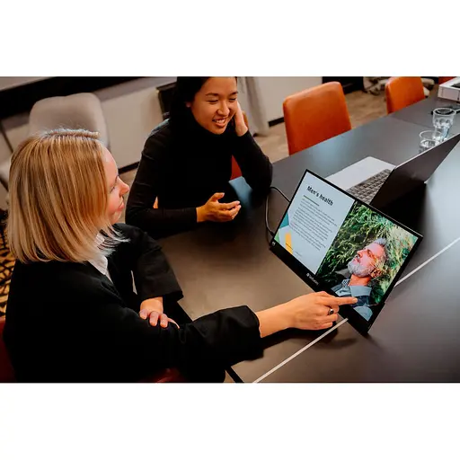 Портативный монитор Verbatim PMT-17-4К (32239) - фото 5