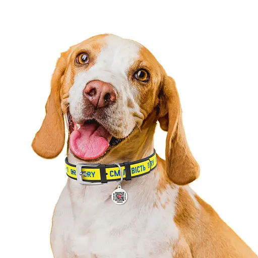 Нашийник для собак шкіряний Waudog Design з QR-паспортом "Сміливість" XL Ш 35 мм Д 46-59 см чорний - фото 4