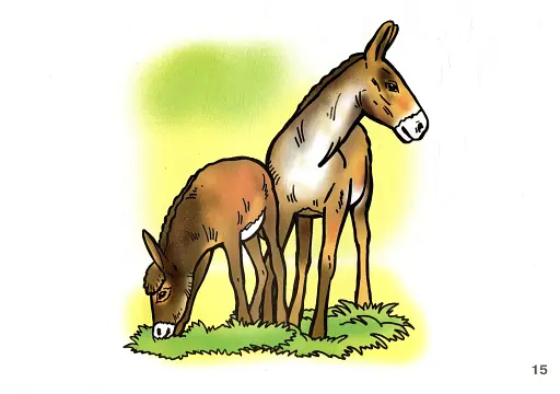 Я досліджую світ. 1-4 класи. Свійські тварини. Комплект наочності - фото 2