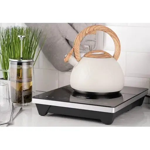 Чайник Ardesto Gemini Cremona 2.5 л бежевый н/с AR1956KS - фото 9