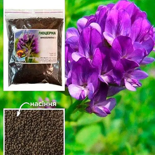 Люцерна обработанная (намагниченность) "Зарница" ТМ "Весна" 100г (15707) - фото 1