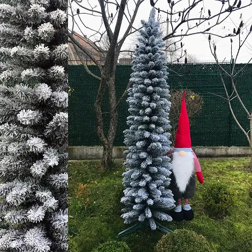 Ялинка Hvoya Альпійська вузька 220 см засніжена