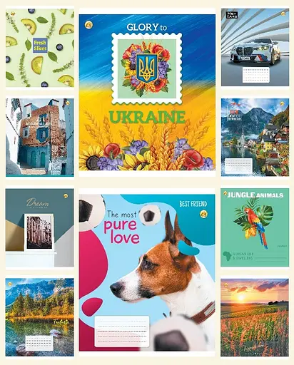 Зошити учнівські 36 аркушів лінія Тверда 32401 Мікс 1,20 шт. в упаковці