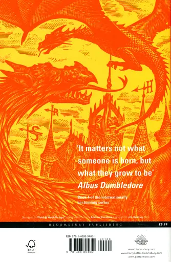 Harry Potter and the Goblet of Fire - фото 2