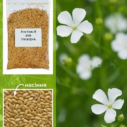 Льон білий ТМ "Весна" 100г (47866) - фото 1