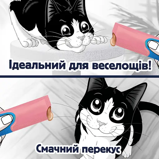 Уценка. Влажный корм для взрослых кошек Felix вкусные моменты дополнительный с лососем 4 шт. х 10 г - фото 4
