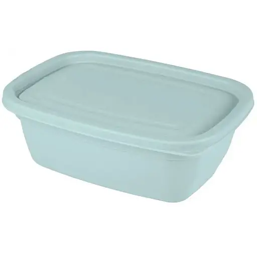 Контейнер харчовий MINT Banquet 0.95л пластик