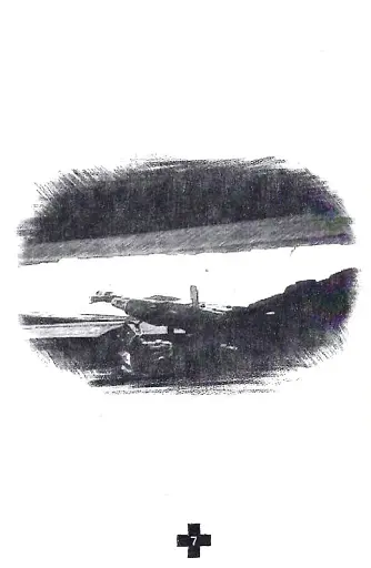 Три плюси - фото 8