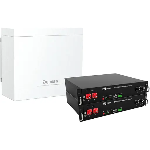 Аккумулятор Dyness LiFePO4 48V (48V/100Ah/4800Wh) (B4850-BOX-2) [151196]