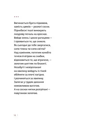 Каміння і цвяхи - фото 9