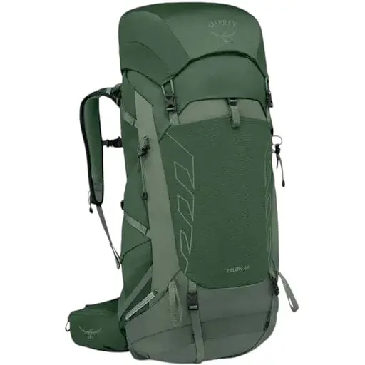 Рюкзак Osprey Talon 44 Forest Green S/M (1054-009.3831)