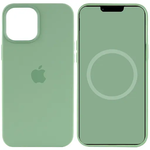 Чехол Silicone case AAA with Magsafe and Animation для Apple iPhone 12 Pro Max 6.7 Зеленый/Pistachio