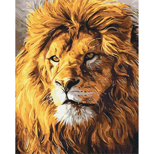 Картина за номерами Погляд на прайд Brushme 40x50 см кольорова 000277666