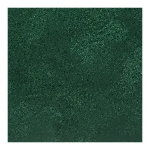 Еженедельник датированный Buromax Velour 2026 A5 зеленый (BM.2710-04) - фото 7