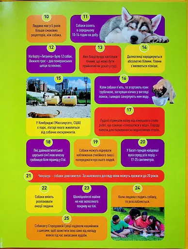 Гав! 100 цікавих фактів про собак - фото 3