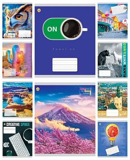 Зошити учнівські 48 аркушів лінія Тверда Мікс 2, 10 шт. в упаковці